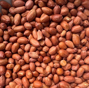 Peanuts