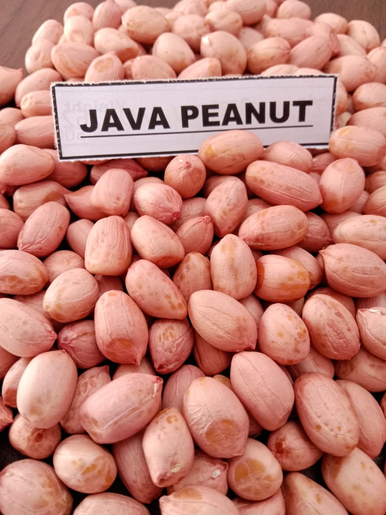 Java Peanuts export product