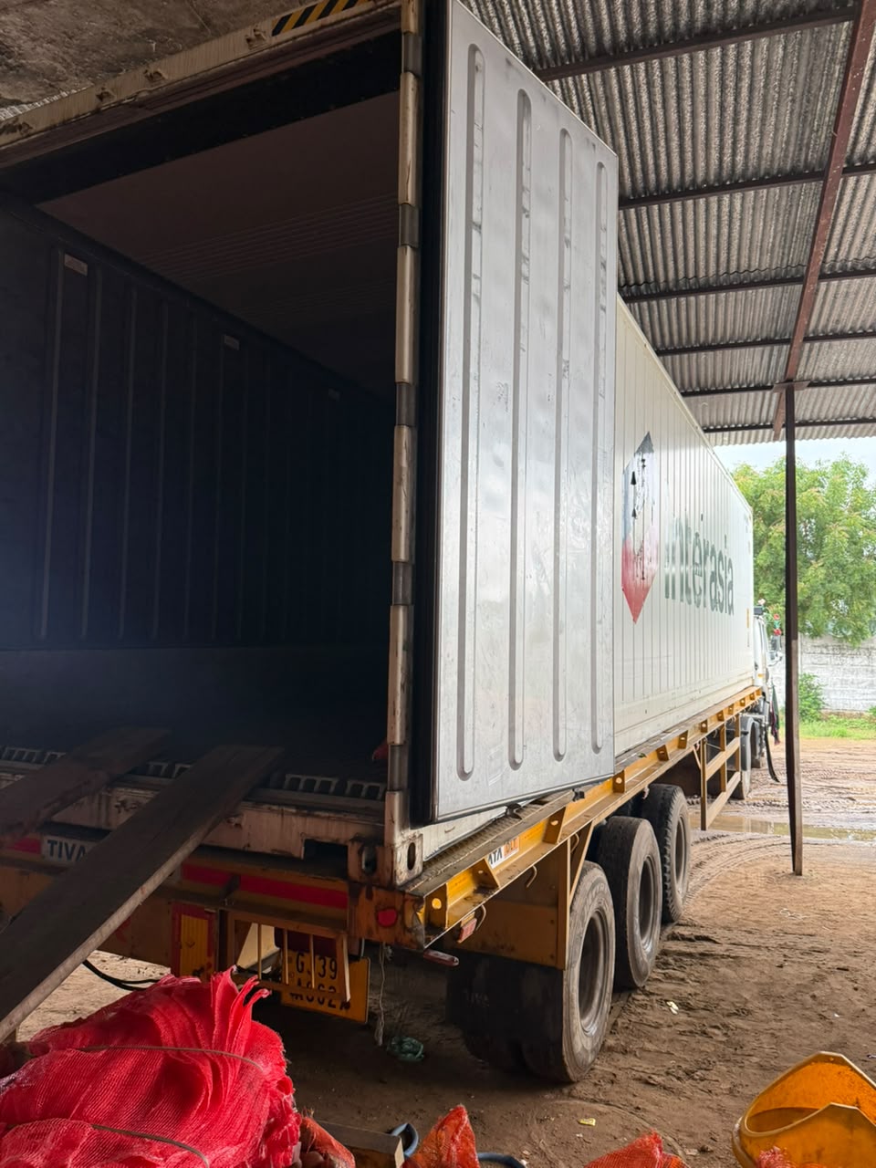 Fresh Potato Supplier & Exporter from India | Patel Agro Spices Export