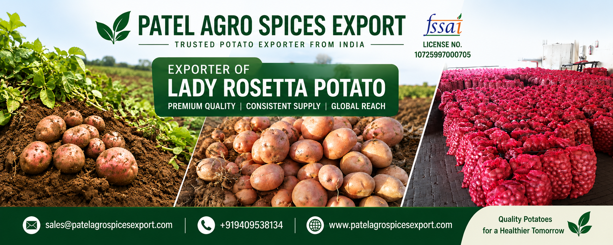 LR Potato Supplier & Exporter from Gujarat, India