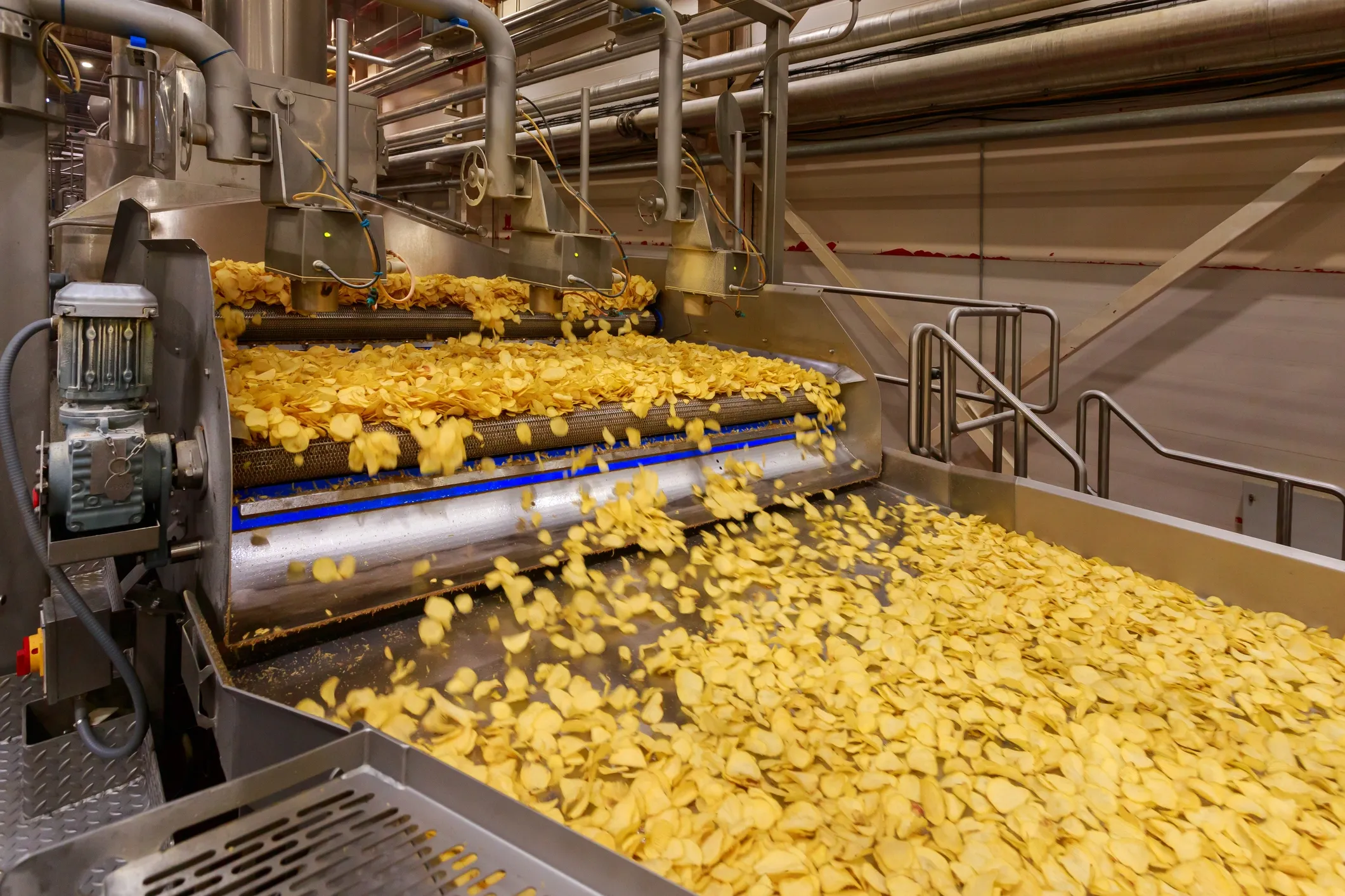 Choosing the Right Potato Variety: The Foundation of Premium Quality Potato Chips
